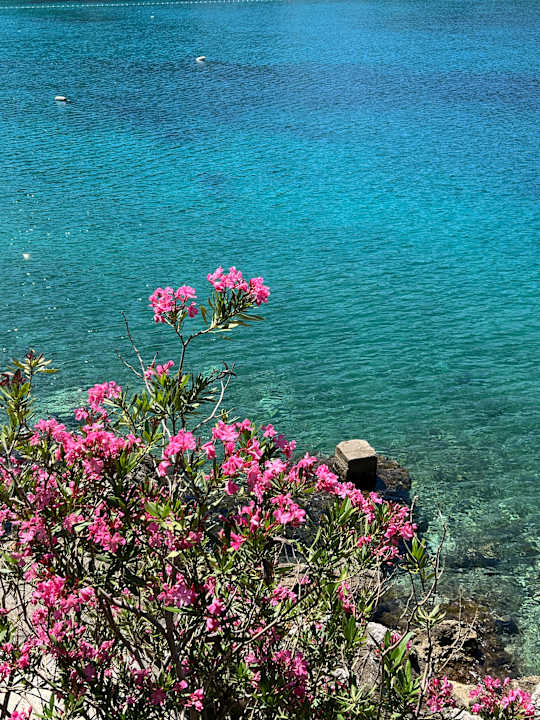 Sonstiges Valamar Argosy Hotel