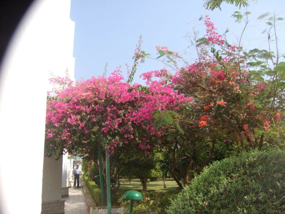 Weg zum Strand Bel Air Azur Resort - Adults only