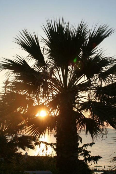 Sonnenuntergang 1 Peninsula Resort & Spa