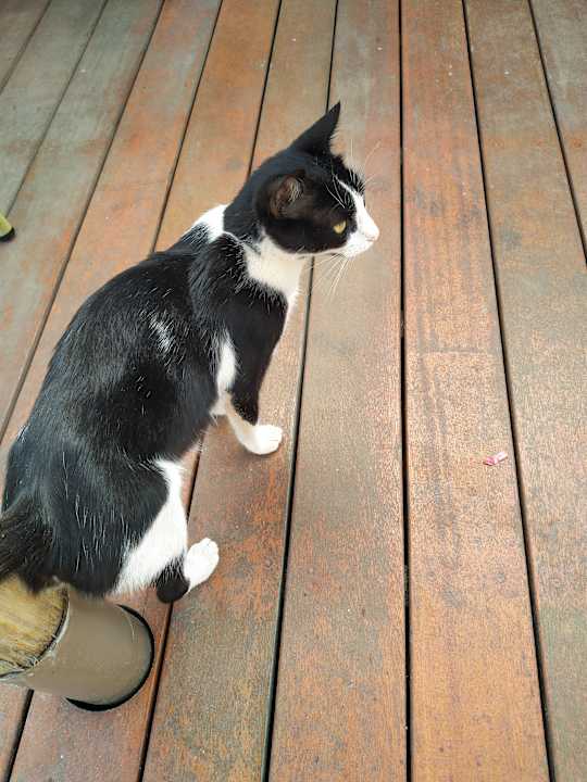 Zimmer Mythos Palace Resort & Spa