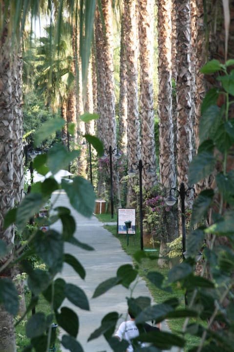Weg zum Strand Hotel Gardenia Beach