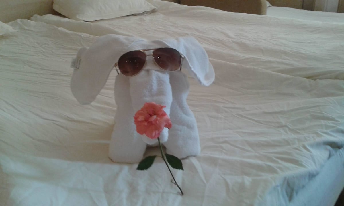 Nette Zimmermädchen Hotel Cazablanka / Casablanca