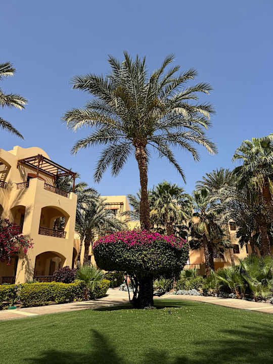 Gartenanlage Steigenberger Coraya Beach - Adults only