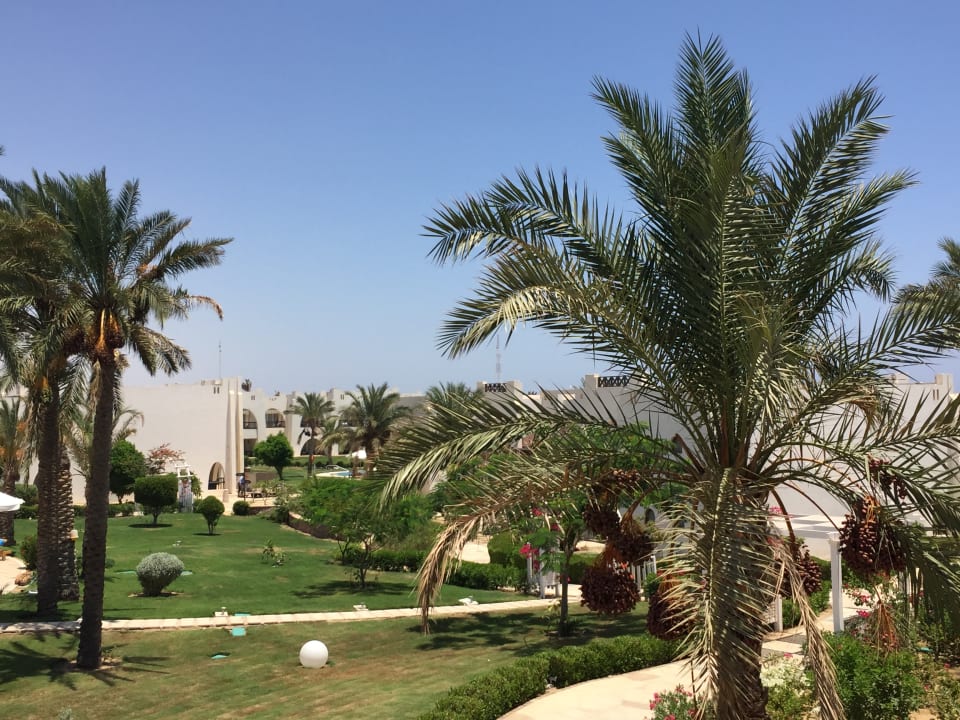 Gartenanlage Hilton Marsa Alam Nubian Resort