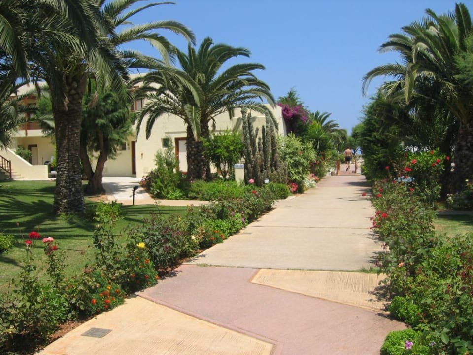 Blick von der Halle zum Strand Phãea Cretan Malia