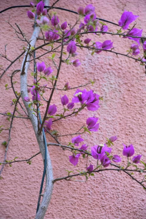 Sonstiges VONRESORT Golden Beach