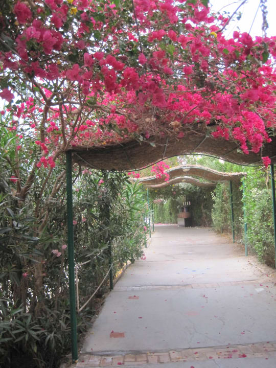 Weg zum Strand Jaz Makadi Oasis Resort