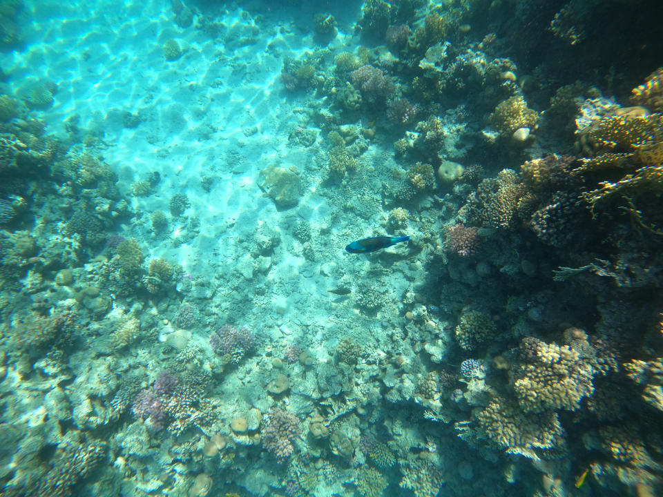 Strand Grand Waterworld Makadi