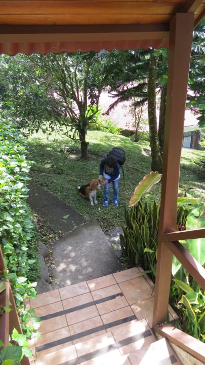 Wunderschöner Garten Hotel Swiss Miramontes