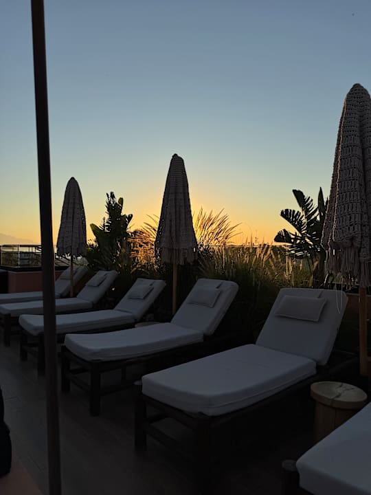 Sonstiges The Syntopia