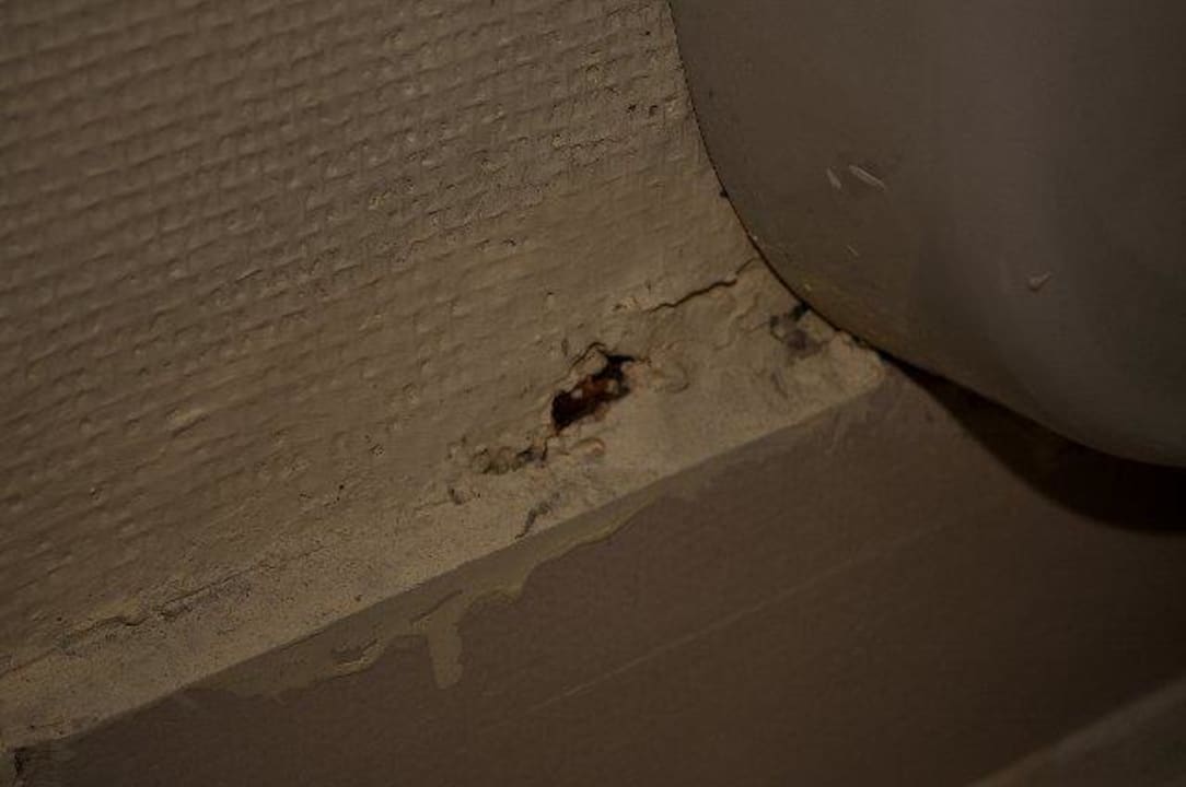 Schimmel und Modergeruch Selectum Family Comfort Side