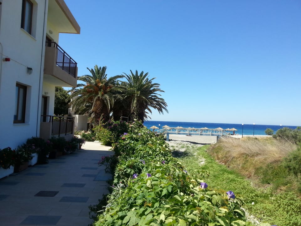 Blick vom Pool Hotel South Coast