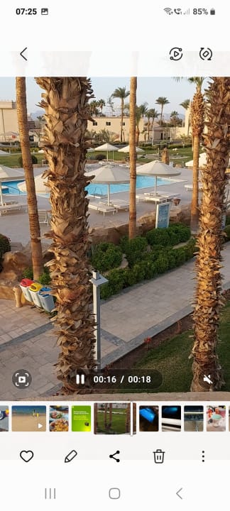 Pool Beach Albatros Resort