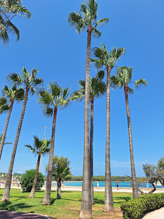 Strand Hotel Mariant Park