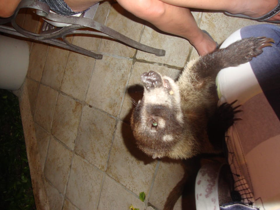 Hotel Catalonia Playa Maroma Catalonia Playa Maroma