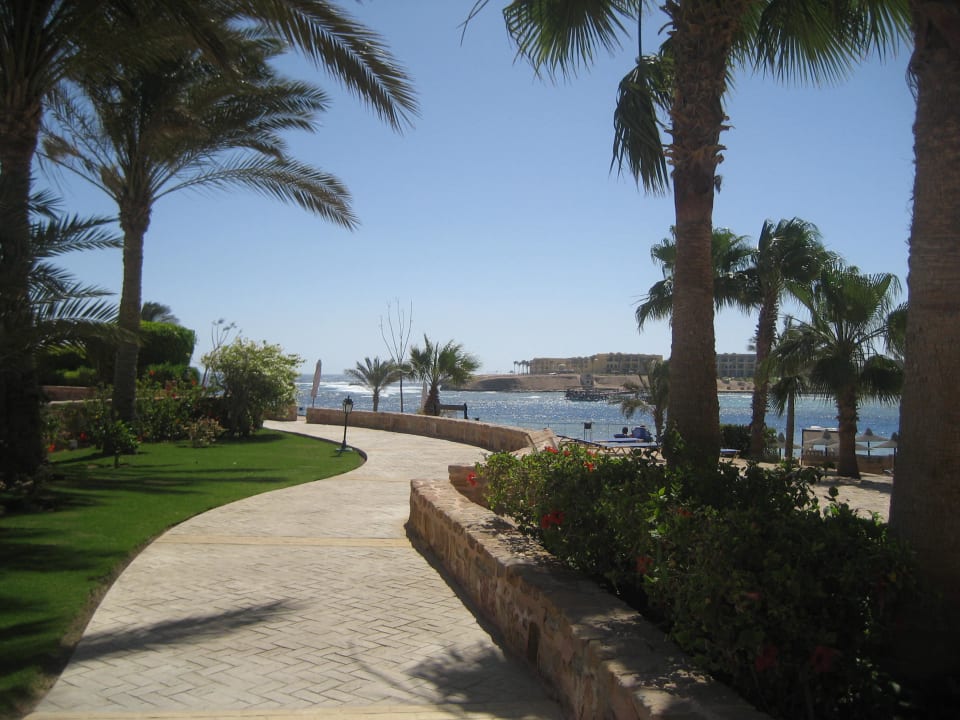 Anlage Steigenberger Coraya Beach - Adults only