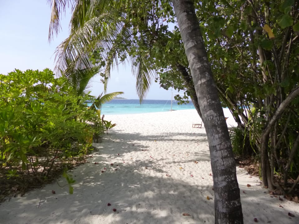Ausblick vom Bungalow NH Collection Maldives Reethi Resort
