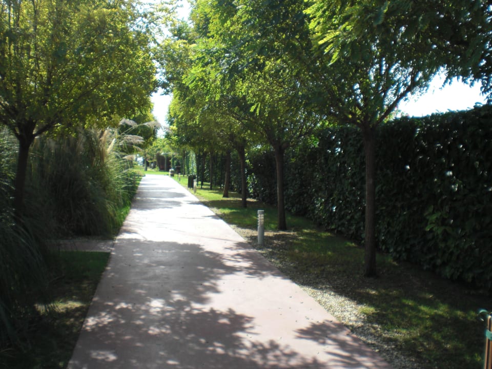 Der Weg zum Strand Saturn Palace Resort Hotel