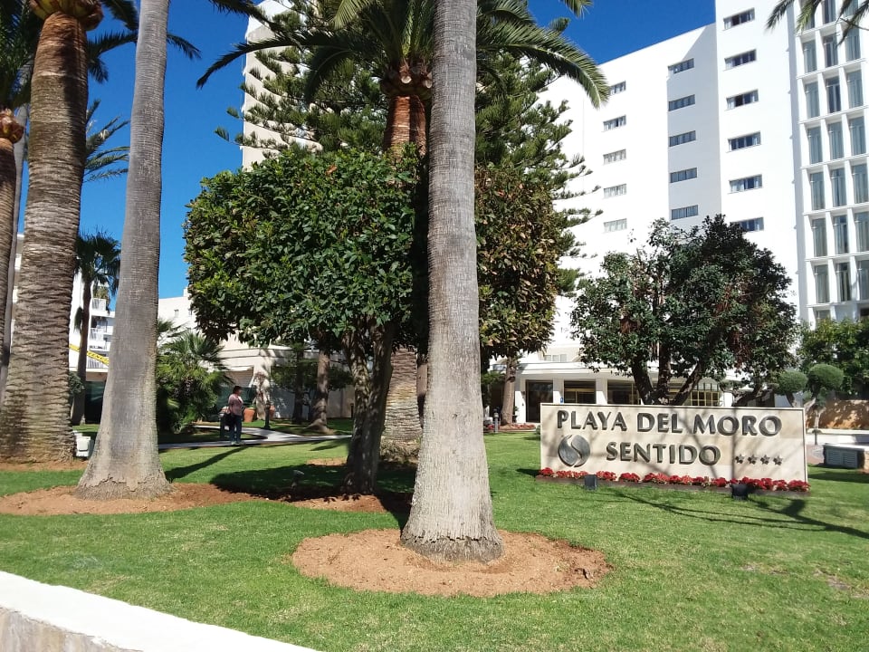 Außenansicht CM Playa del Moro