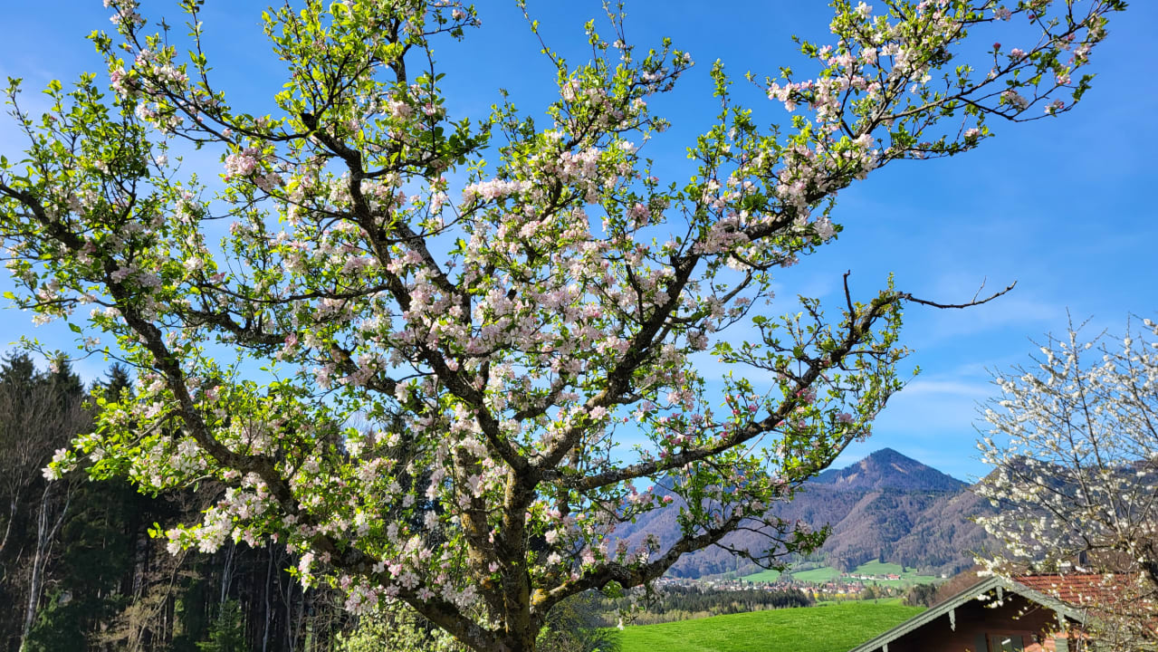 Gartenanlage Kailhof Thaurer Josef und Kathrin