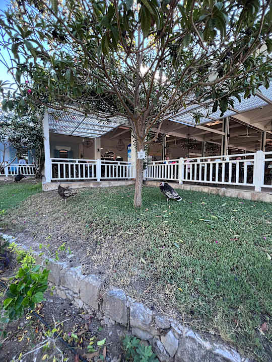 Gartenanlage Club Marco Polo