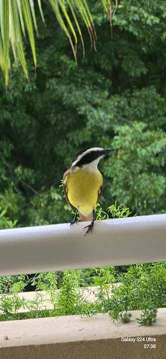 Sonstiges Iberostar Waves Paraiso del Mar