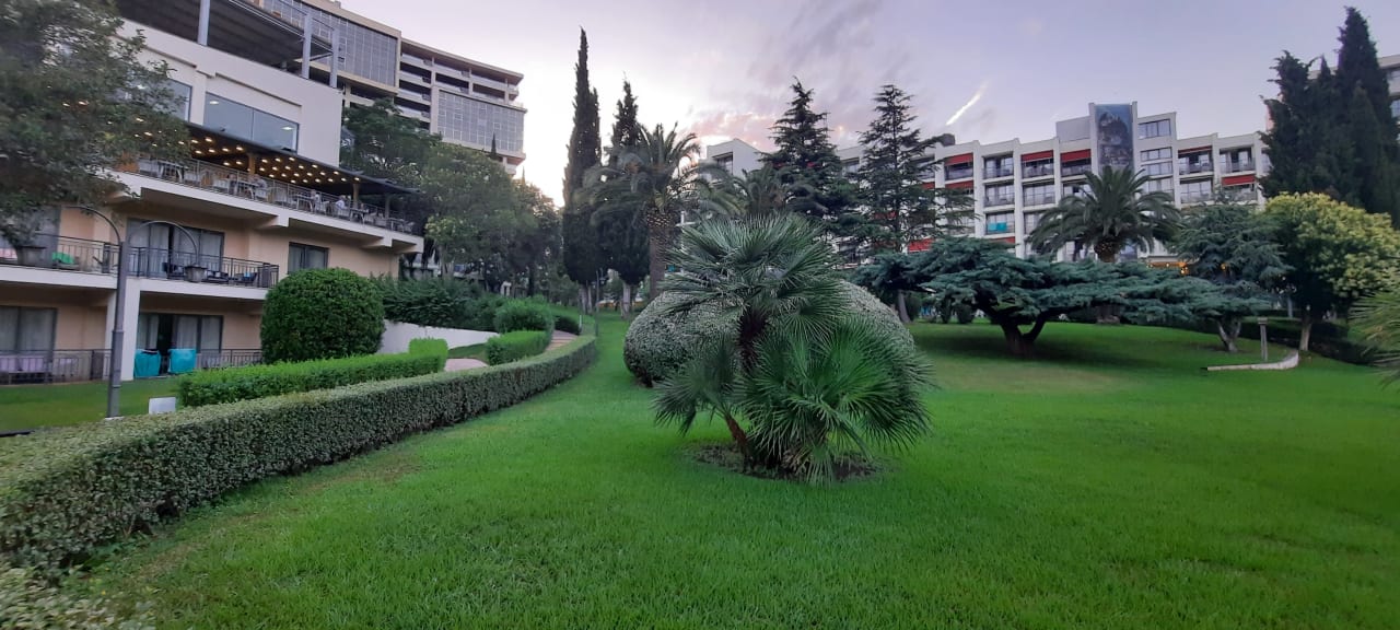 Gartenanlage Iberostar Waves Bellevue