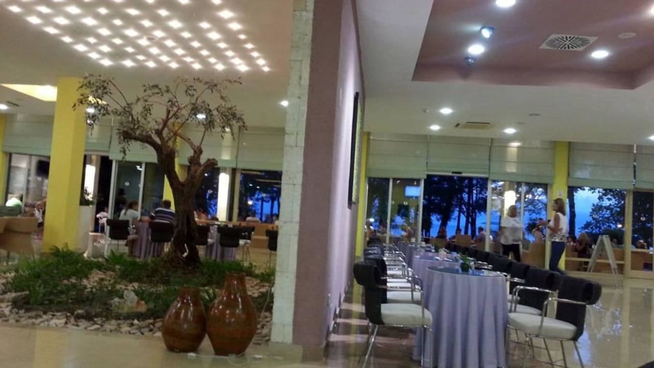 Lobby & Barbereich Hotel Aurora Plava Laguna
