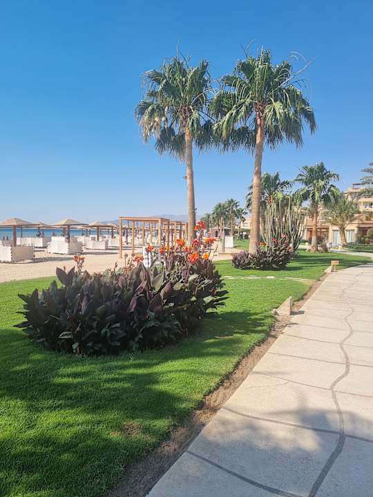 Strand Shams Prestige Abu Soma-Adults Only