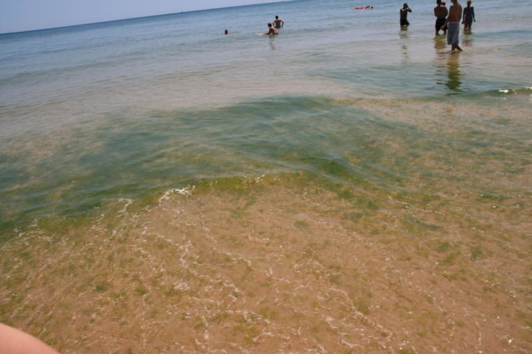 Algen gibts auch manchmal Golden Club Cabanas