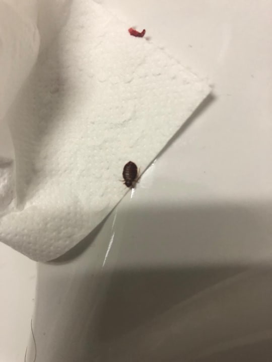 Zimmer Hotel Itzlinger Hof