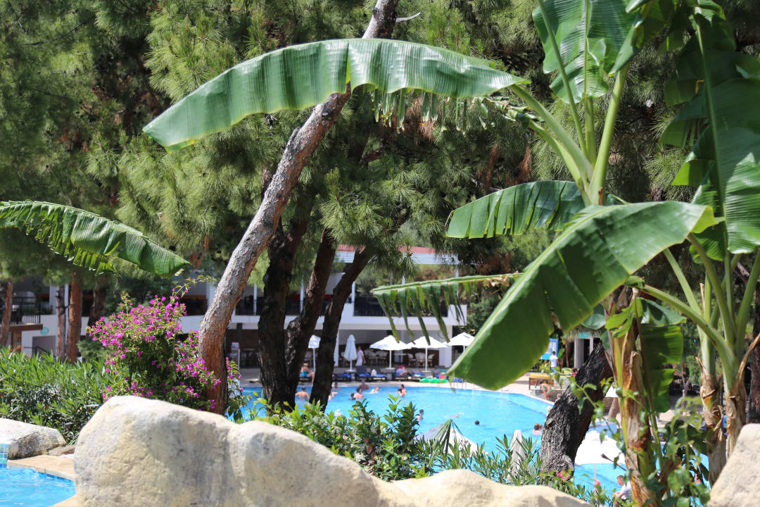 Widok z basenu ze zjeżdzalniami Bodrum Park Resort