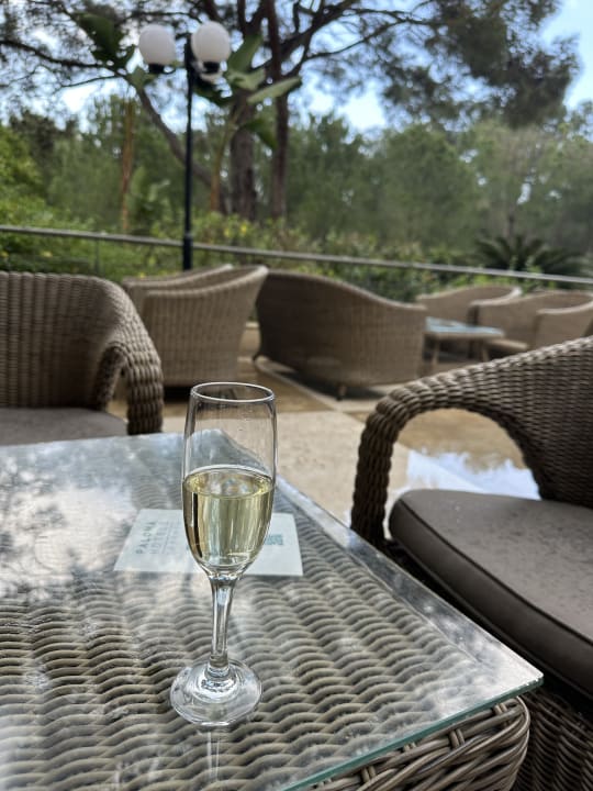 Gastro Balmy Foresta