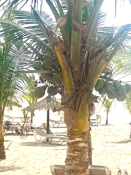 Strand Hotel Riu Palace Boavista