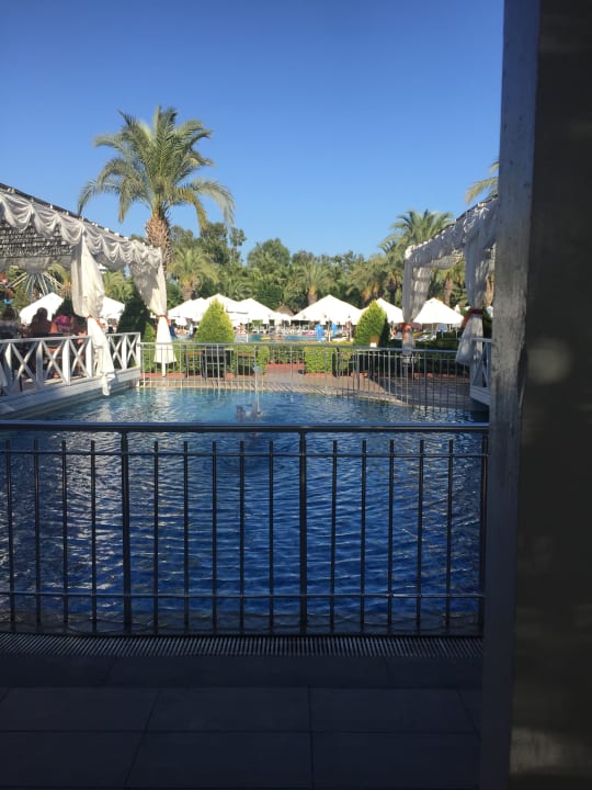 Pool Hotel Delphin Palace