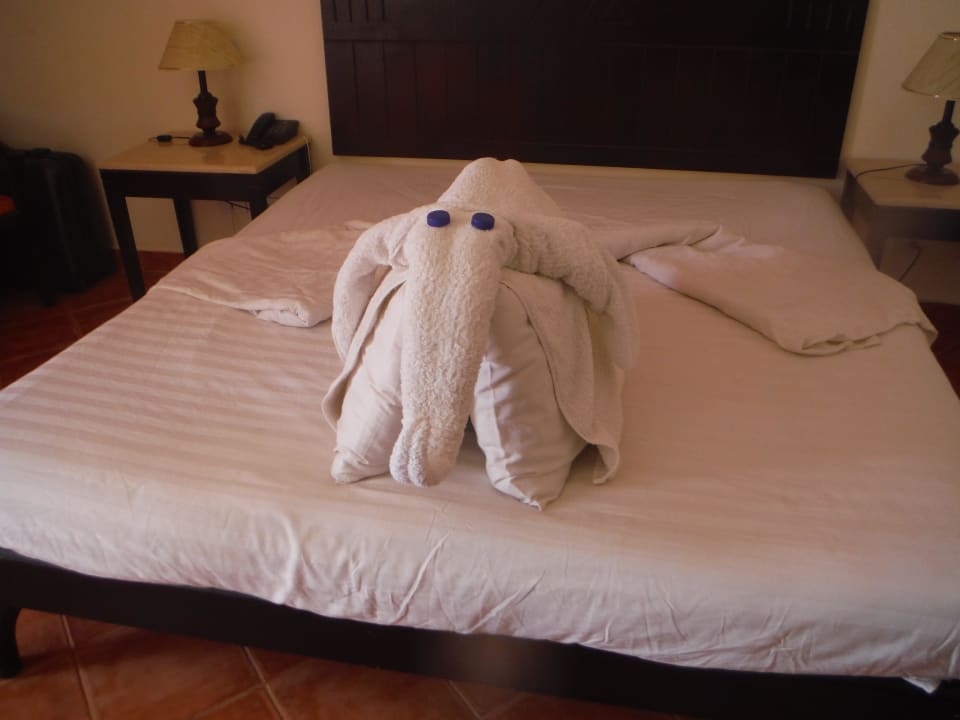 A lttle surprise Three Corners Sea Beach Resort