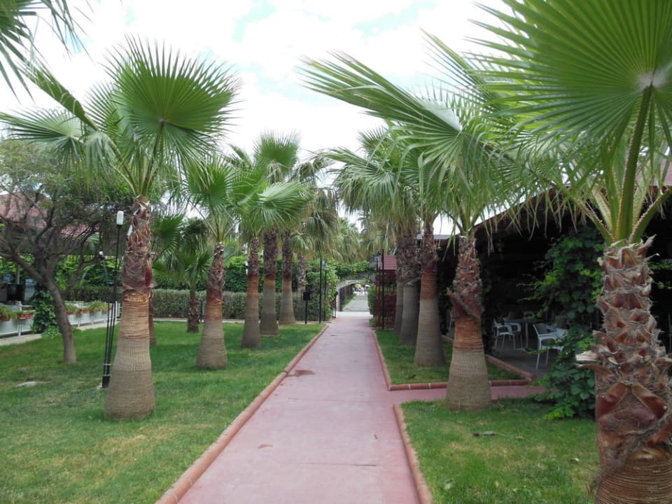 Weg vom Strand zum Hotel Hotel Royal Garden Beach