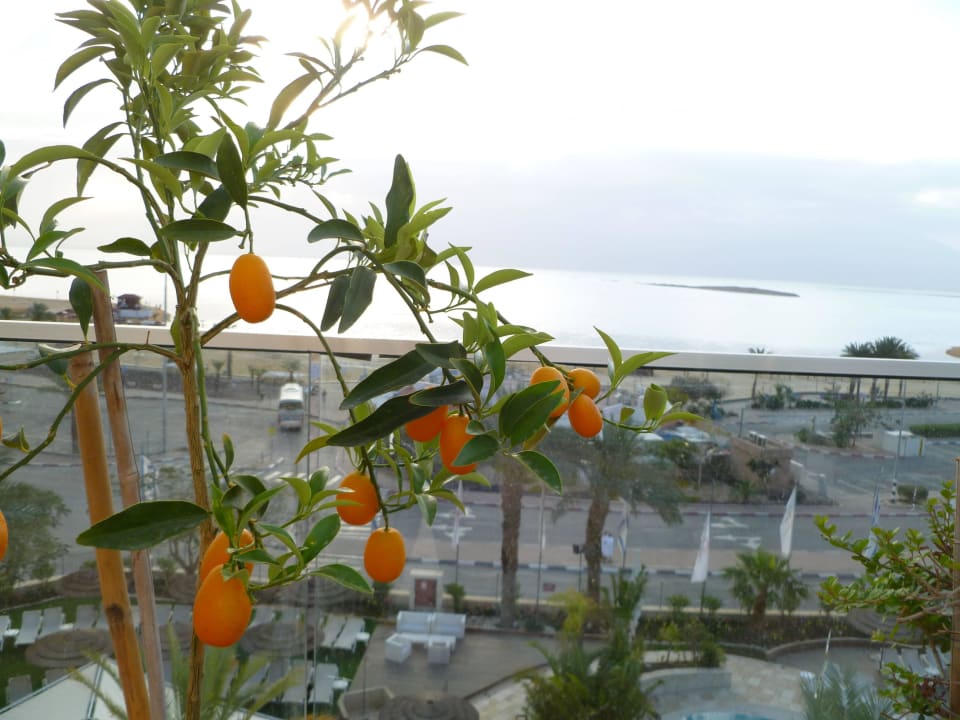 Ausblick 2 Stock Royal Hotel Dead Sea