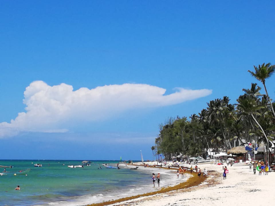 Strand Grand Palladium Punta Cana Resort & Spa