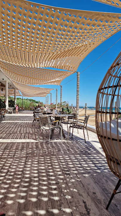 Strand Seashell Vega