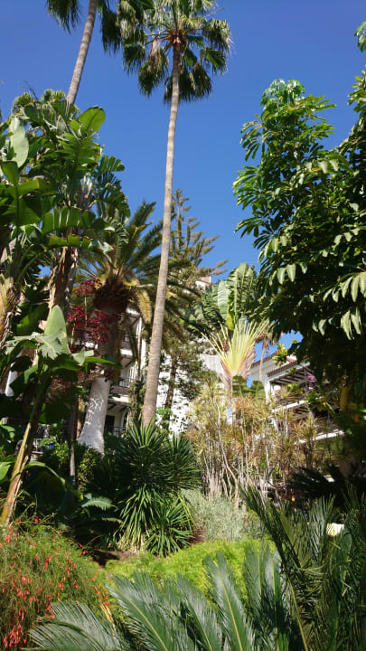 Gartenanlage Hotel Parque Tropical