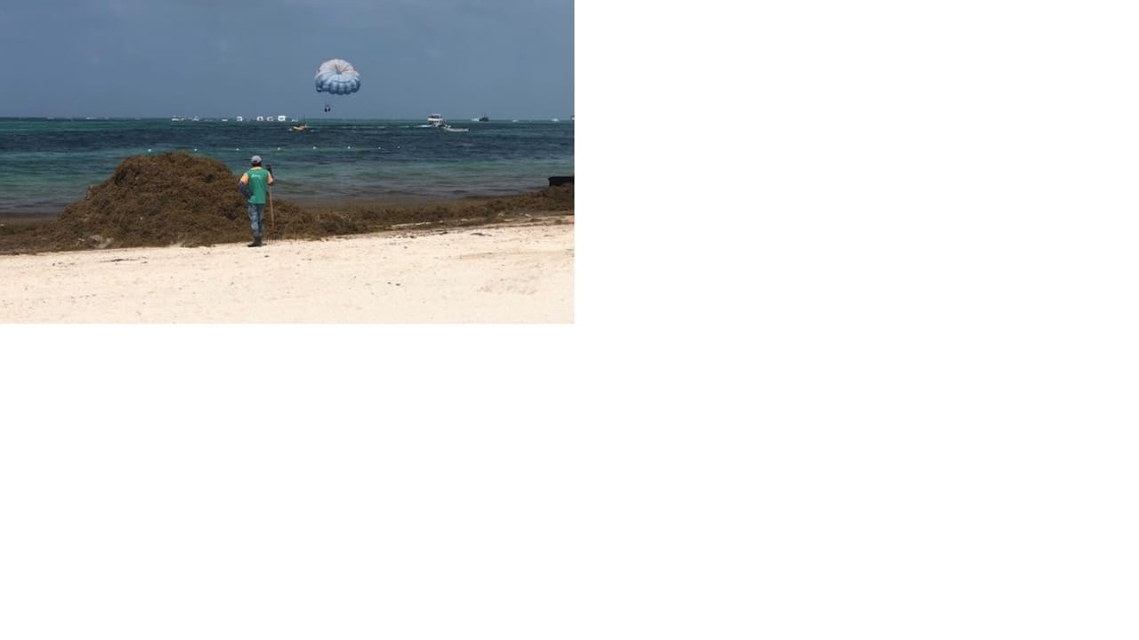 Strand Secrets Royal Beach Punta Cana - Adults only