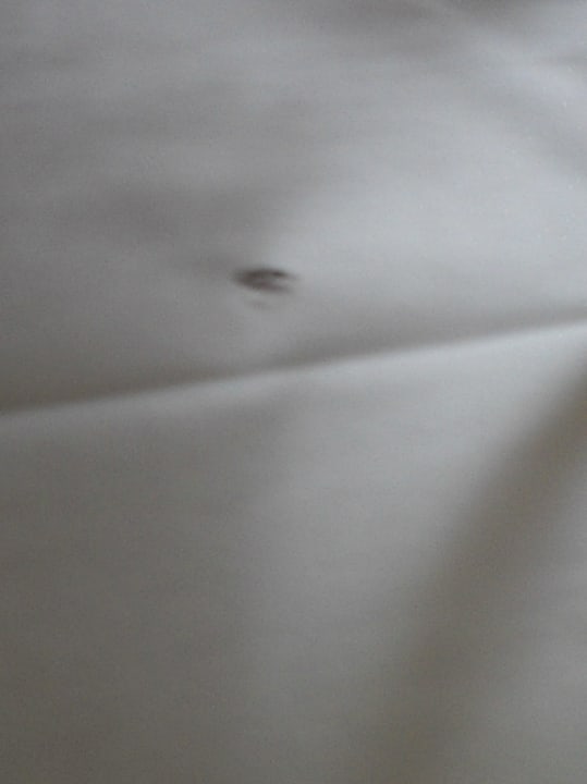 Erster Schreck Hôtel Lucien & Marinette