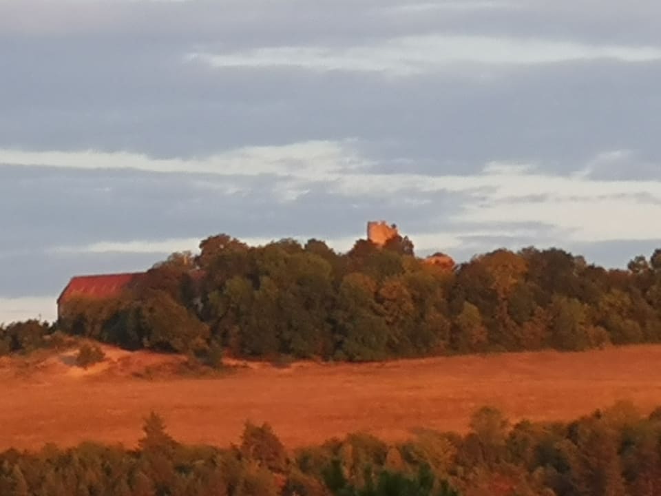 Ausblick SAVOY Hotel Bad Mergentheim