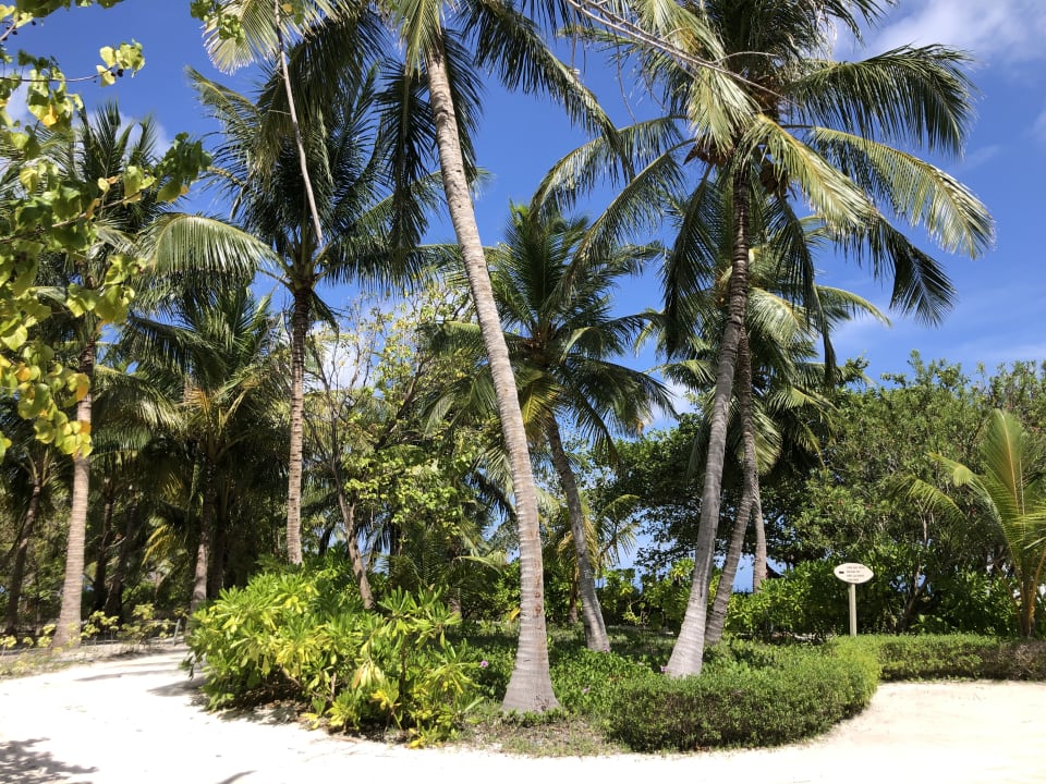 Gartenanlage Adaaran Select Hudhuran Fushi - Premium All Inclusive