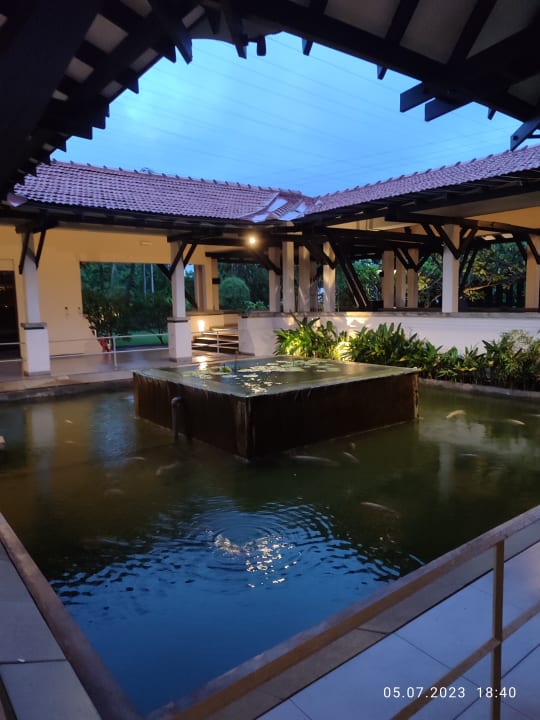 Sonstiges Club Hotel Dolphin