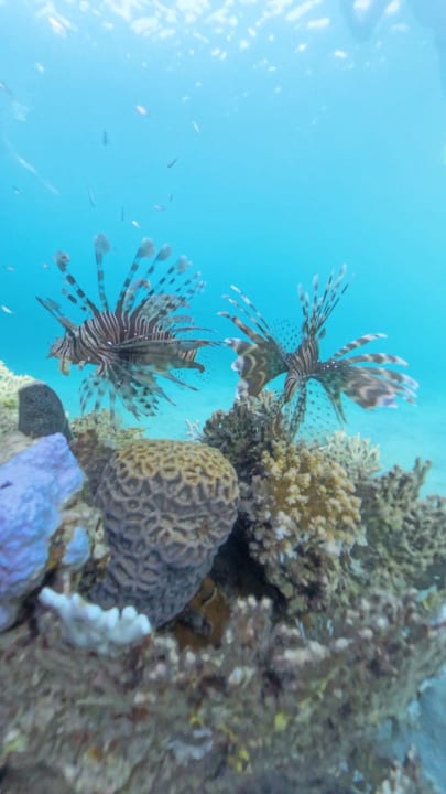 Sport & Freizeit Brayka Bay Resort