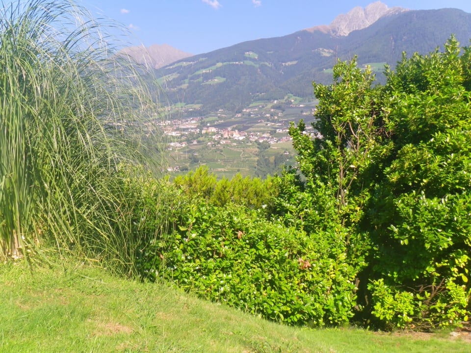 Ausblick vom Pool Hotel Lisetta