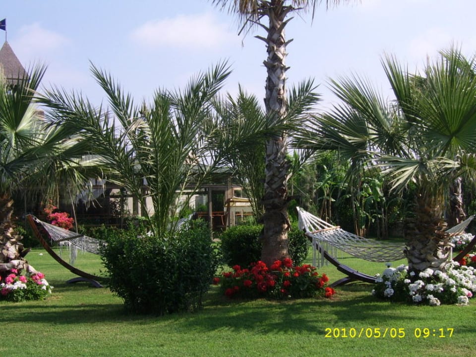 Palmen Belek Beach Resort Hotel