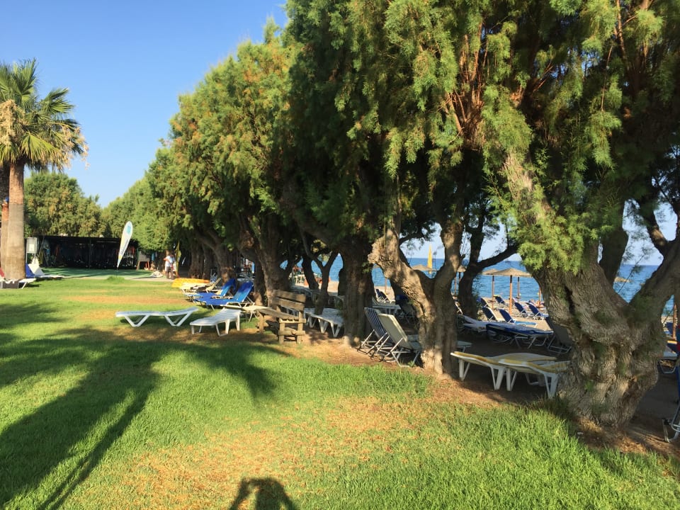 Gartenanlage TUI KIDS CLUB Alex Beach